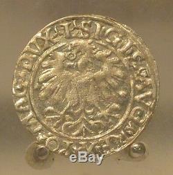 1559 Poland / Lithuania Silver 1/2 Groschen, Old World Silver Coin