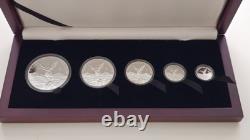 2010 Mexican Libertad 5 Coin Set Silver Proof