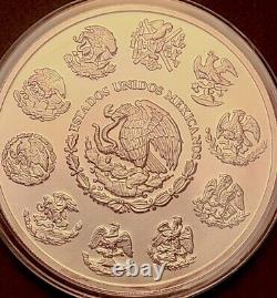 2010 Silver Mexico MInt 5 oz Libertad Unc original capsule withdisplay easel