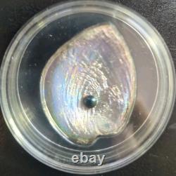 2012 Haliotis Iris $5 Silver Coin Republic Of Palau With Box And COA Super Rare