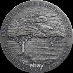 2020 Cameroon Panthera Leo Lion 2 oz. 999 Silver Antiqued Coin Mintage 500