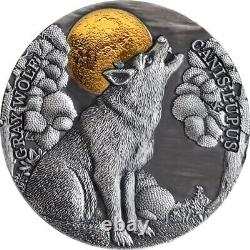 2020 Gray Wolf Wildlife in The Moonlight 2 oz Pure Silver Antique Coin