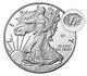2020 World War Ll 75th Anniversary American Eagle Silver Proof Coinpre-sale