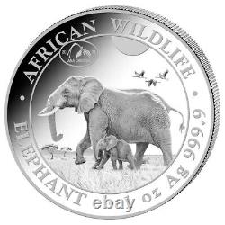 2021 Africa wildlife Elephant 1 oz silver coin