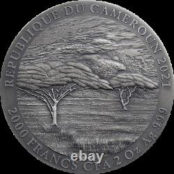 2021 Cameroon Expressions Wildlife Mountain Gorilla 2 oz Silver Coin 500 Made