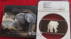 2021 Solomon Islands Animals of Africa ELEPHANT NGC Reverse PF 69 Silver 999 wow