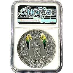 2022 Cameroon ARCHANGEL RAPHAEL 2 oz Silver Coin MS 70