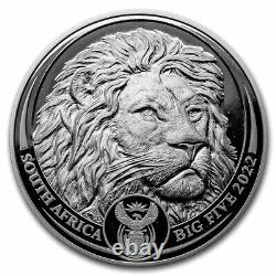 2022 South Africa 2-Coin Silver Big Five Lion Proof Set SKU#247305