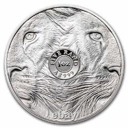 2022 South Africa 2-Coin Silver Big Five Lion Proof Set SKU#247305