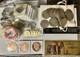 Assorted Coins
