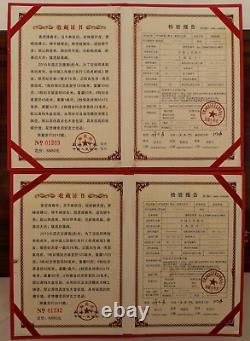 Chinese Commemorative Gold & Silver Plated Coin Set 2010 Year Of The Tiger