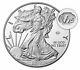 End Of World War Ii 75th Anniversary American Eagle Silver Proof Coin V75