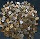 Huge Lot Of Foreign/world Mixed Coins1900 Til Now 10 Lb Some Silver Aluminum Zi