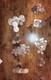 Hugh Lot Of World Silver Coins Lot 1900s Many Countries Net Silver 715 Grams