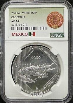 Mexico 5 pesos Conservation Wildlife Crocodile Fauna MS67 NGC Silver coin 2000