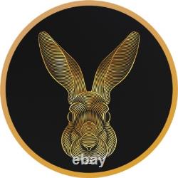 RARE 100pc LUNAR RABBIT Calendar V1 Silver Coin 2023 Chad OPTICAL ILLUSION Gl.pl