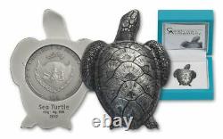 Sea Turtle 2017 Silver Coin $10 Ngc Ms 69 Antiqued Er