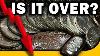 Silver Price Tumbles Is The Silver Squeeze Over